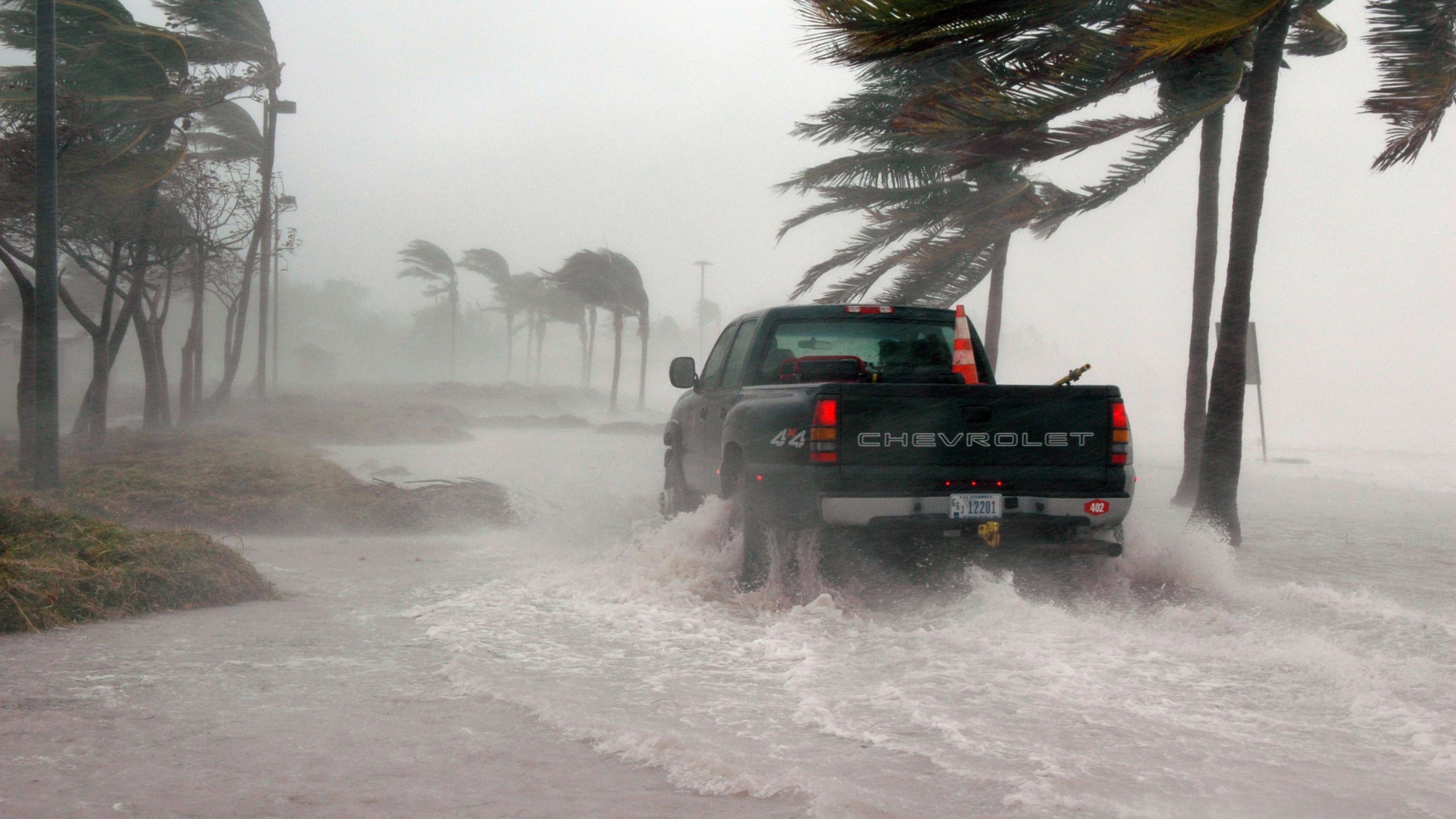 a black truck driving through water as the wind of the hurricane blows palm trees.